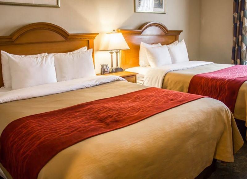 Comfort Inn Jfk Airport Nova York Exterior foto